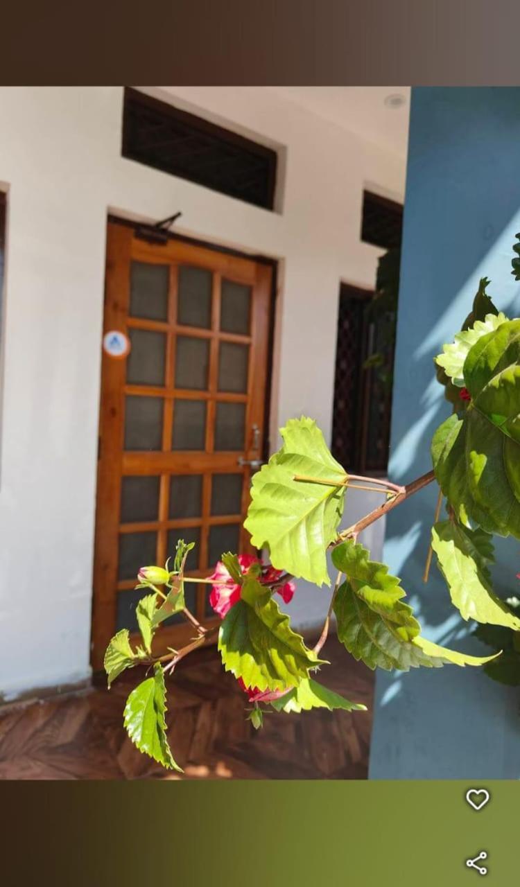 Chandarshila Hike Homestay Ukhimath Exteriör bild